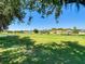 Expansive backyard featuring a well-manicured lawn, mature trees, and a view of neighboring houses and a pond at 18107 Canal Pointe St, Tampa, FL 33647