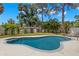 Private backyard pool surrounded by lush landscaping and a storage shed, perfect for summer relaxation at 1827 Oregon Ne Ave, St Petersburg, FL 33703