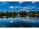 Scenic pond view featuring a fountain, surrounded by trees and lush greenery, under a partly cloudy blue sky at 2706 11Th Ct, Palm Harbor, FL 34684