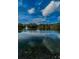 Beautiful pond view with a fountain, trees, and sky reflections on a partly cloudy day, highlighting serenity and nature at 2706 11Th Ct, Palm Harbor, FL 34684