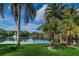 Picturesque pond view with palm trees, lush greenery, and a water fountain under a bright blue sky with fluffy clouds at 2706 11Th Ct, Palm Harbor, FL 34684