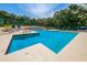 Community pool featuring lounge chairs and umbrellas, offering a relaxing outdoor experience at 2706 11Th Ct, Palm Harbor, FL 34684
