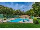 A community pool surrounded by lush greenery offers a tranquil and private swimming experience at 2706 11Th Ct, Palm Harbor, FL 34684
