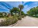 Scenic street view with a palm tree, lush greenery, and a Bilgore Grove street sign under a clear blue sky at 2706 11Th Ct, Palm Harbor, FL 34684