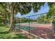 A community tennis court is surrounded by tall, mature trees and a green chain-link fence at 2706 11Th Ct, Palm Harbor, FL 34684