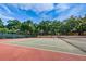A community tennis court featuring a red and green surface, a net, and tall trees in the background at 2706 11Th Ct, Palm Harbor, FL 34684