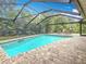 A bright blue swimming pool with an enclosed screened-in patio, surrounded by lush greenery and relaxing lounge chairs at 3093 Hillside Ln, Safety Harbor, FL 34695
