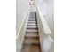 Carpeted staircase with white handrail leading to upper level at 3810 Romano Busciglio St, Tampa, FL 33619