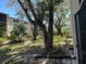 Backyard featuring lawn, trees, plantings and the exterior of a condominium building at 861 Maple Ct # 104, Dunedin, FL 34698