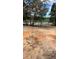 Backyard features a scenic pond view at 10040 Lake Dr, Weeki Wachee, FL 34613