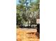 Beautiful wooded lot with a view of the lake at 10040 Lake Dr, Weeki Wachee, FL 34613