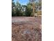 Cleared waterfront property lot featuring trees and a peaceful lake view in the background at 10040 Lake Dr, Weeki Wachee, FL 34613