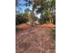 Cleared waterfront property lot featuring trees and a peaceful lake view in the background at 10040 Lake Dr, Weeki Wachee, FL 34613