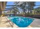 Sparkling screened-in pool with clear blue water, perfect for swimming and relaxation at 1111 Lakemont Dr, Valrico, FL 33594