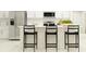 Bright kitchen featuring island with barstool seating, stainless steel appliances, and white cabinetry at 11817 Blue Diamond Trl, Parrish, FL 34219