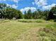 Spacious backyard with mature trees, greenery, and a storage shed at 17830 Simmons Rd, Lutz, FL 33548