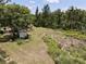 Picture of the sprawling backyard including a rustic shed surrounded by mature trees and nature at 17830 Simmons Rd, Lutz, FL 33548