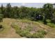 A view of the expansive property highlighting the natural beauty and vast land at 17830 Simmons Rd, Lutz, FL 33548