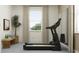 Bright home gym with a treadmill, mirror, and natural light from a window at 18136 Serene Lake Loop, Lutz, FL 33548