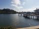 Picturesque view of the lake and dock with lush greenery creating a serene atmosphere at 19029 Us Highway 19 N # 5-16, Clearwater, FL 33764