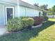 Inviting front entrance with beautifully landscaped garden featuring colorful plants and an accent walkway at 19420 Haskell Pl, Land O Lakes, FL 34638