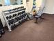 Well-equipped community gym showcasing free weights and a workout bench for a comprehensive fitness experience at 19420 Haskell Pl, Land O Lakes, FL 34638