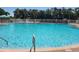 Beautiful community pool with clear water, surrounded by lush greenery and a secure fence at 19420 Haskell Pl, Land O Lakes, FL 34638
