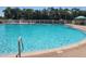 Large community pool featuring clear blue water, play area, and ample lounging at 19420 Haskell Pl, Land O Lakes, FL 34638