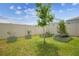 Backyard garden featuring metal planters and a trellis with climbing plants and grass yard at 33524 Elm Hill Br, Wesley Chapel, FL 33545