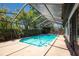 Covered pool area with a clear blue pool, surrounded by tropical foliage, creating a private backyard oasis at 502 Timber Bay E Cir, Oldsmar, FL 34677