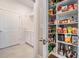 Well-organized pantry with ample shelving for efficient storage and easy access at 5090 Caravel Pt, Land O Lakes, FL 34638