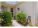 Charming front entrance with lush landscaping, decorative lighting, and a welcoming walkway at 542 Harbor Ridge Dr, Palm Harbor, FL 34683