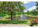 Beautiful pond view framed by lush greenery, landscaping, and a decorative flower pot at 542 Harbor Ridge Dr, Palm Harbor, FL 34683