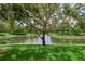 Picturesque pond view with a mature tree and green grass in a quiet setting at 542 Harbor Ridge Dr, Palm Harbor, FL 34683