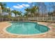Community pool with lounge chairs surrounded by palm trees and a white fence at 542 Harbor Ridge Dr, Palm Harbor, FL 34683