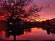 Scenic view of the sunset reflecting off the pond behind the home at twilight at 542 Harbor Ridge Dr, Palm Harbor, FL 34683