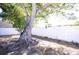 A large tree stands on the edge of a property with a white fence in the background at 5608 Larimer Dr, Tampa, FL 33615