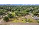 Aerial view of green space in a residential area with walking path, mature trees, and city skyline at 905 W Fribley St, Tampa, FL 33603