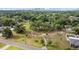 Drone view of green space in a residential area, featuring mature trees, a walking path, and a city skyline backdrop at 905 W Fribley St, Tampa, FL 33603
