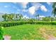 A large, manicured backyard with green lawn, mature trees, and a privacy hedge at 12300 Vonn Rd # 7107, Largo, FL 33774