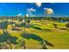 Scenic golf course view featuring lush greens, palm trees and sunny skies at 12300 Vonn Rd # 7107, Largo, FL 33774