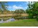 Scenic pond view with lush greenery, serene water lilies, and mature trees on a sunny day at 13872 Siena Loop, Lakewood Ranch, FL 34202