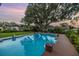 Backyard with an in-ground pool, beautifully landscaped yard, and mature trees at dusk at 1449 45Th Ne Ave, St Petersburg, FL 33703