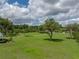 Lush backyard with mature shade trees, a manicured lawn, and natural landscape at 16326 Kalli Way, Dade City, FL 33523
