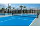 A vibrant blue pickleball court beckons players for a fun and active match at 17244 Tortoise Crown Blvd, Land O Lakes, FL 34638