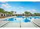 Community pool featuring palm trees, lounge chairs, and a clear, inviting swimming area at 17244 Tortoise Crown Blvd, Land O Lakes, FL 34638