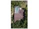 Aerial view of the house featuring a pool, roof, and surrounding trees at 17321 Oak Ledge Dr, Lutz, FL 33549