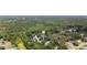 Aerial view of a home nestled among lush trees and greenery at 17321 Oak Ledge Dr, Lutz, FL 33549