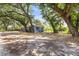 Single-story home with a spacious unlandscaped yard, covered in mature trees and native Florida vegetation at 2305 N 48Th St, Tampa, FL 33605