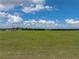 View of the expansive, green backyard at 30017 Johnston Rd, Dade City, FL 33523